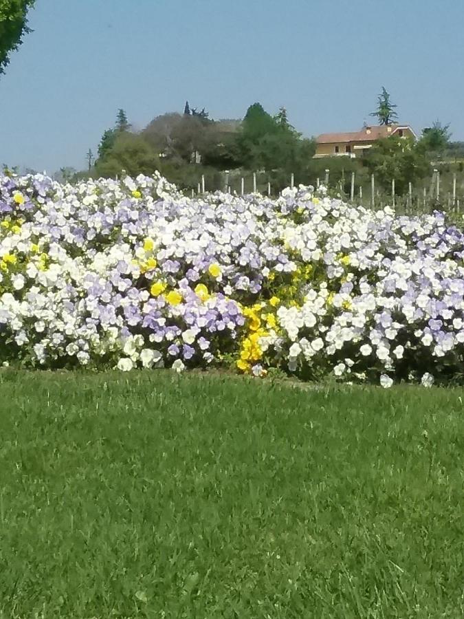 Appartamento Filippo Castelnuovo del Garda Luaran gambar